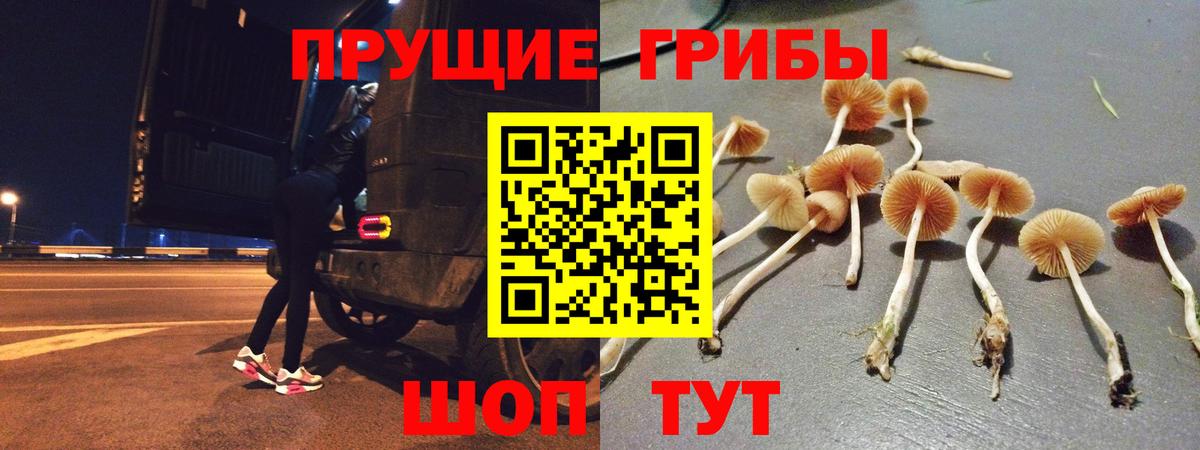 Галлюциногенные грибы GOLDEN TEACHER Братск